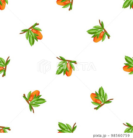Mango branch pattern seamless background texture repeat wallpaper geometric vector 98560759