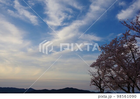 夕景　桜と空 98561090