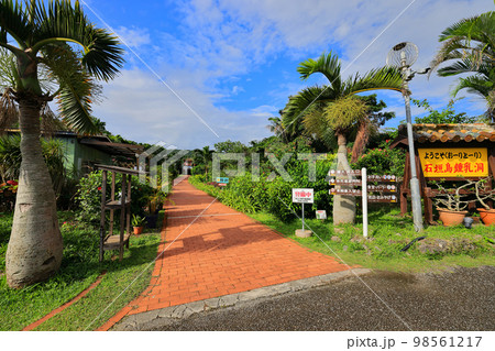 石垣島鍾乳洞周辺の風景 98561217