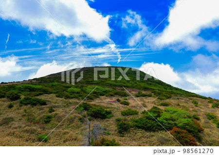 済州島 動産 山 98561270