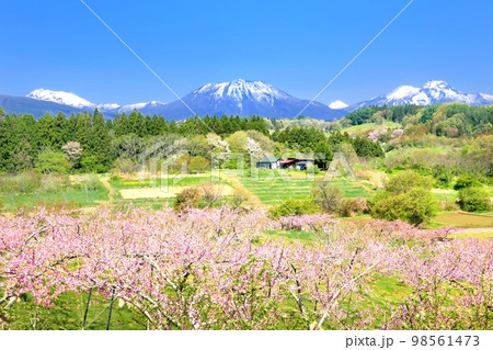 春の丹霞郷 春の丹霞郷 98561473