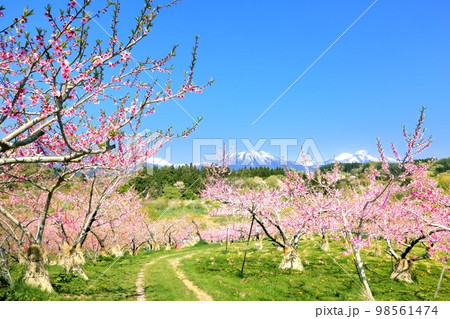 春の丹霞郷 春の丹霞郷 98561474