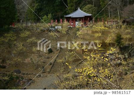 栃木市大平町の清水寺のろうばい園に観音堂 栃木市大平町の清水寺のろうばい園に観音堂 98561517