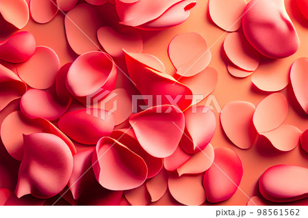 Valentine frame made of rose flowers, confetti on white background Valentine frame made of rose flowers, confetti on white background 98561562