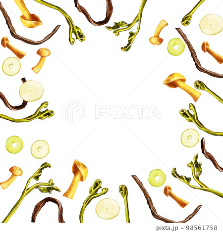手描き水彩の山菜イラスト正方形フレーム・囲み 98561758