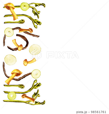 手描き水彩の山菜イラスト正方形フレーム・左 98561761