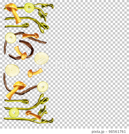 Hand-painted watercolor wild vegetable illustration square frame left 98561761