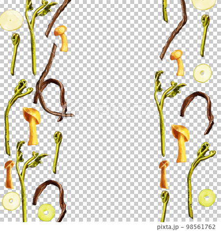 Hand-painted watercolor wild vegetable illustration square frame left and right 98561762