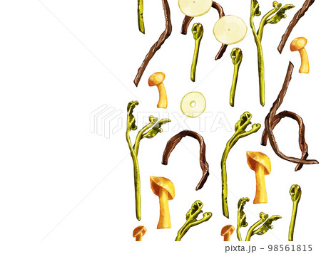 手描き水彩の山菜イラスト長方形フレーム・右 98561815