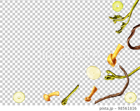 Hand-painted watercolor wild vegetable illustration rectangular frame/lower right Hand-painted watercolor wild vegetable illustration rectangular frame/lower right 98561816