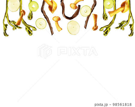 手描き水彩の山菜イラスト長方形フレーム・上 98561818