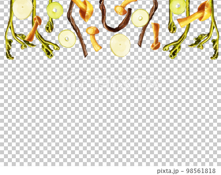 Hand-painted watercolor wild vegetable illustration rectangular frame top Hand-painted watercolor wild vegetable illustration rectangular frame top 98561818