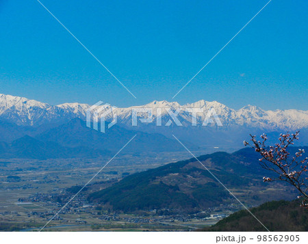 桜のお花見 光城山から見る北アルプスと安曇野の風景 桜のお花見 光城山から見る北アルプスと安曇野の風景 98562905