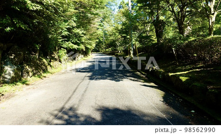 日差し溢れる林道 98562990