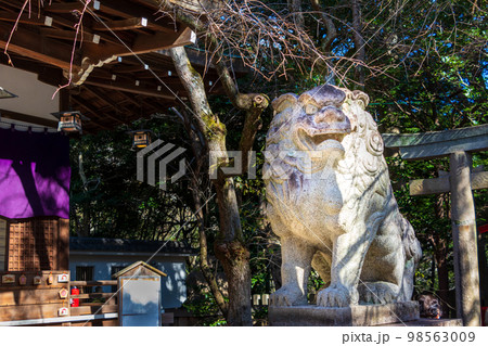 神社の本殿に控える石造の狛犬 神社の本殿に控える石造の狛犬 98563009