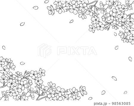 桜のペン画のフレーム 98563085