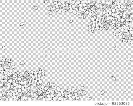 桜のペン画のフレーム 98563085