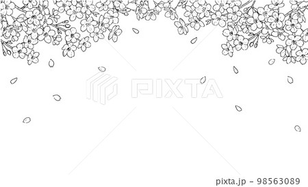 桜のペン画の背景 桜のペン画の背景 98563089