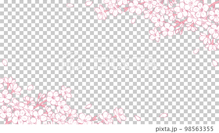 Sakura Line Frame Sakura line drawing frame white background - Stock Illustration ...