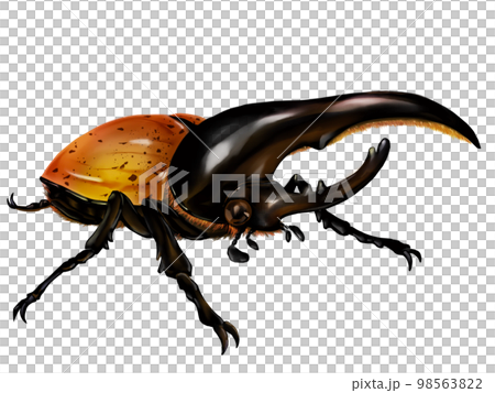 Hercules Beetle Hercules Beetle 98563822