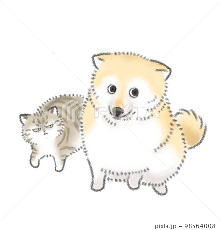 猫ににらまれる犬 98564008