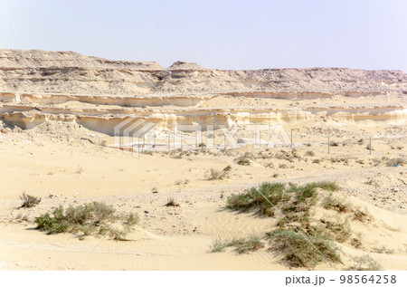 Bu Salwa Shelf Hills Desert landscape with limestone hillocks in the background 98564258