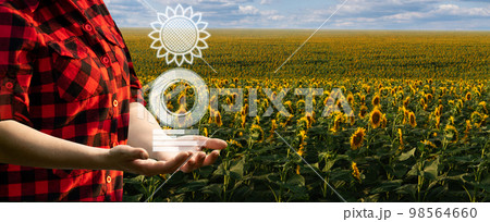 Farmer on a background of sunflower field with symbol of analyzes the ripeness of the crop. Farmer on a background of sunflower field with symbol of analyzes the ripeness of the crop. 98564660