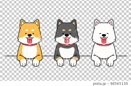Vector illustration of three hand-drawn Shiba Inu dogs smiling and putting their paws on a platform 98565130
