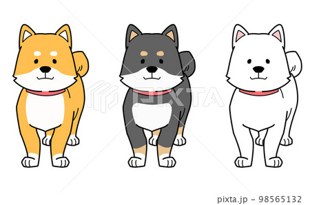 手描きの柴犬3匹のベクターイラスト 手描きの柴犬3匹のベクターイラスト 98565132