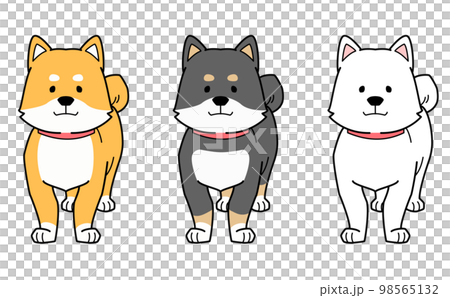 手描きの柴犬3匹のベクターイラスト 手描きの柴犬3匹のベクターイラスト 98565132