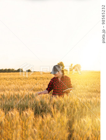 A woman farmer examines the field of cereals and sends data to the cloud from the tablet 98565232