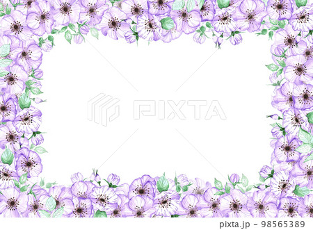 Handdrawn anemone frame. Watercolor wind flower on the white background. Scrapbook design elements. Typography poster, wedding card, label, banner design set. Handdrawn anemone frame. Watercolor wind flower on the white background. Scrapbook design elements. Typography poster, wedding card, label, banner design set. 98565389