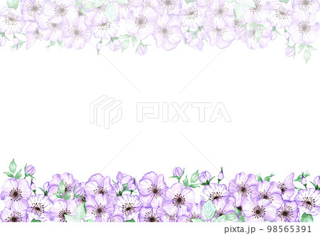 Handdrawn anemone frame. Watercolor wind flower on the white background. Scrapbook design elements. Typography poster, wedding card, label, banner design set. Handdrawn anemone frame. Watercolor wind flower on the white background. Scrapbook design elements. Typography poster, wedding card, label, banner design set. 98565391