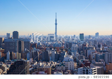 東京都市風景　文京シビックセンターからスカイツリー方面 98565590