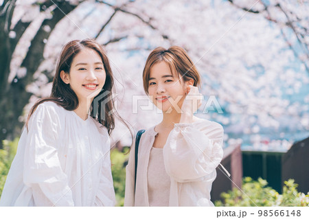 桜の名所を観光する女性（友達） 98566148