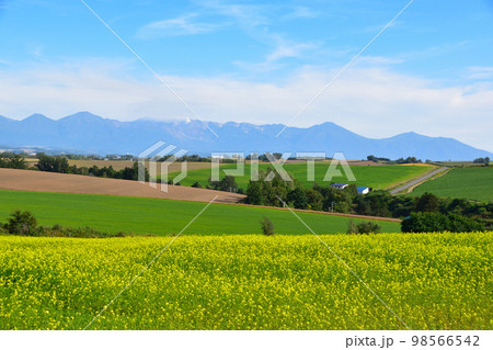 美瑛町　9月撮影 98566542