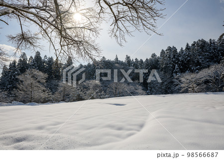 中尊寺の坂の上駐車場から見た銀世界（岩手県） 98566687