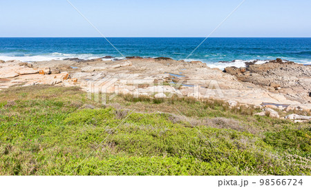 Ocean Rocky Coast Green Blue Water  Landscape 98566724