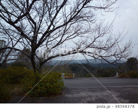 一畑山薬師寺 一畑山薬師寺 98568378