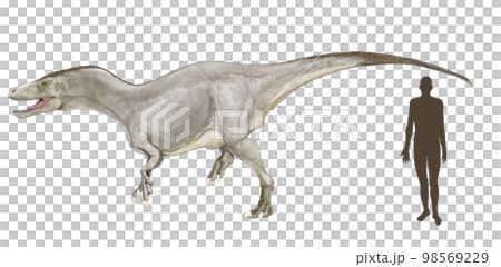 ムルスラプトル　白亜紀中期のメガラプトル類 98569229