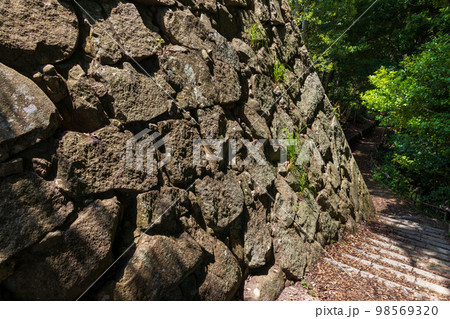 城跡に残る古い石垣 城跡に残る古い石垣 98569320