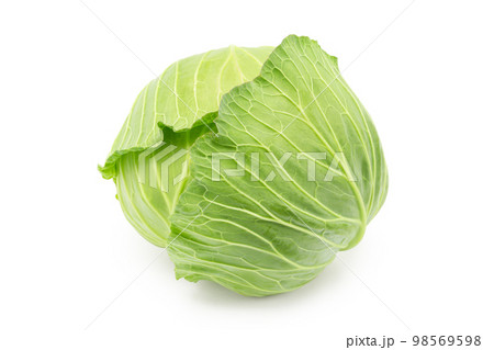 白バックにキャベツ 白バックにキャベツ 98569598