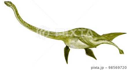 ヒドロテロサウルス　体長の半分以上が首の首長竜 98569720