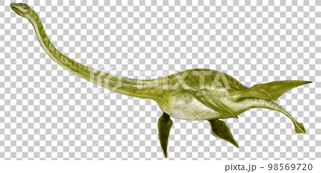 ヒドロテロサウルス　体長の半分以上が首の首長竜 98569720
