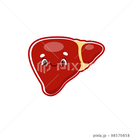 Cartoon liver human body organ character. Vector healthy internal organ, anatomical personage with cute smiling face. Health care, medicine for kids 98570858