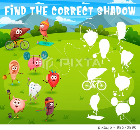 Find correct shadow, cartoon funny human organs sportsman characters on meadow, vector quiz game. Heart on fitness sport, brain on gym workout and ear playing basketball, shadow matching puzzle 98570890