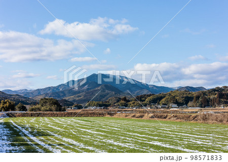 冬の紫尾山　雪の残る田んぼ　冠雪 98571833