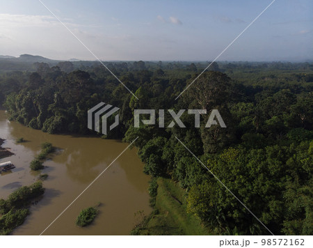 Aerial view tropical rain forest with canal river in morning sunrise with fog Aerial view tropical rain forest with canal river in morning sunrise with fog 98572162