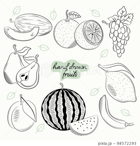 a set of hand drawn sketch with healthy fruits 98572293