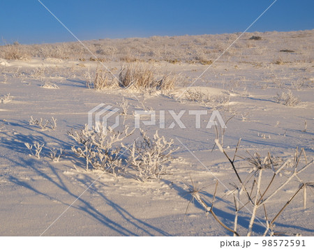 雪景色 長野県霧ヶ峰高原 雪景色 長野県霧ヶ峰高原 98572591